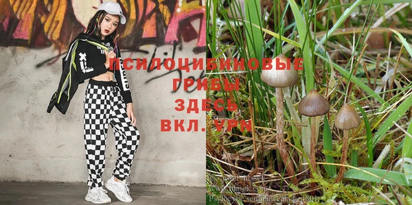 кокс Абдулино