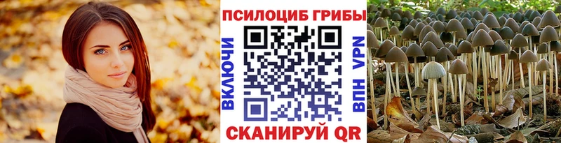 мега онион  Ак-Довурак  Псилоцибиновые грибы Psilocybine cubensis  купить  